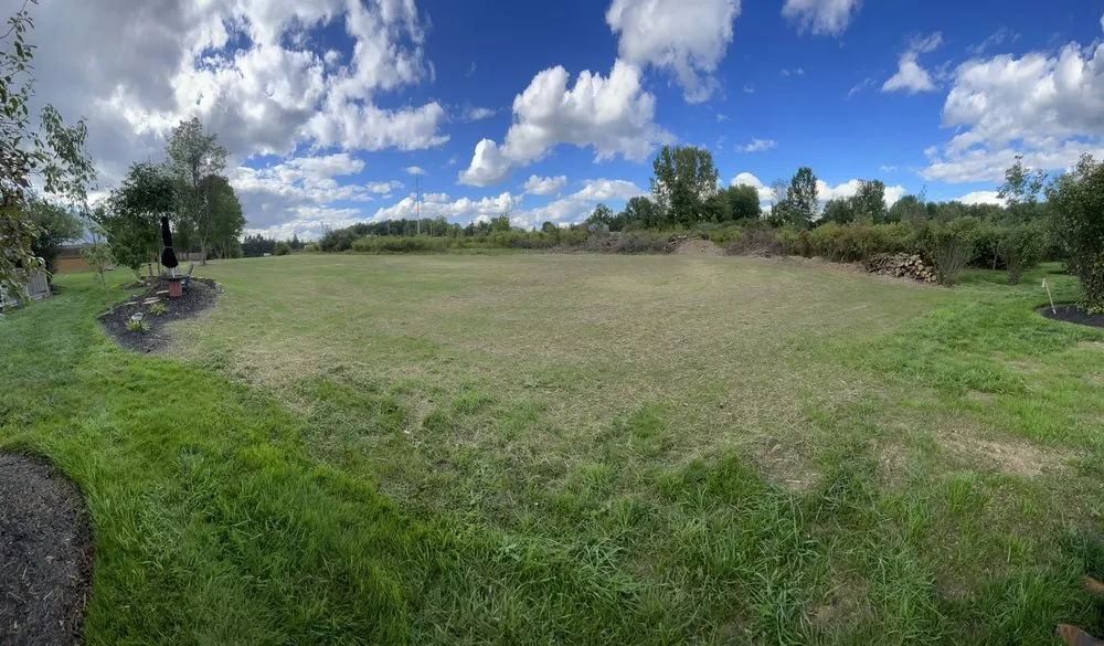 Top-rated yard cleanup service experts serving Ravenna, OH - AMS Property Services