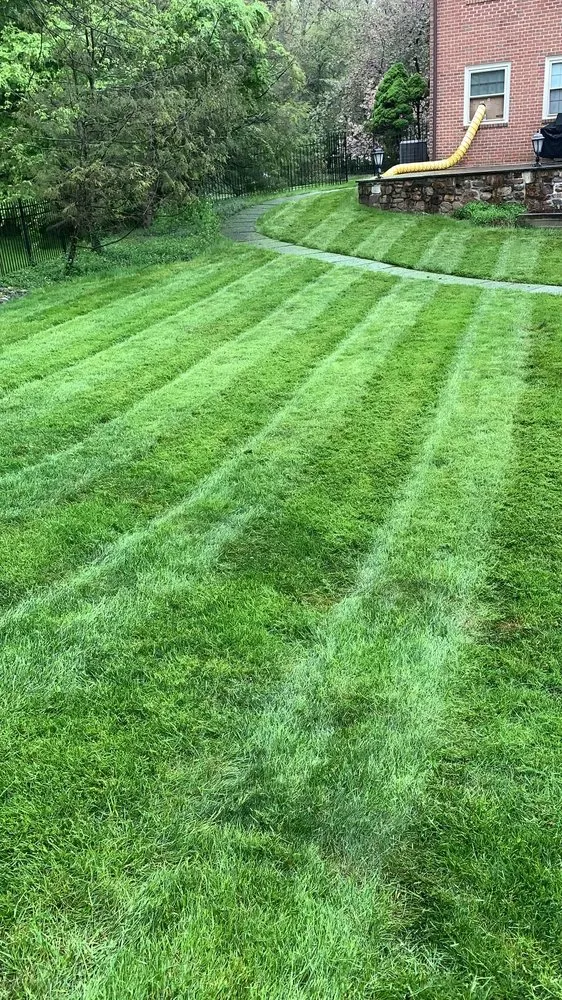 Professional lawn care service in Lansdale, PA by AMT Landscaping