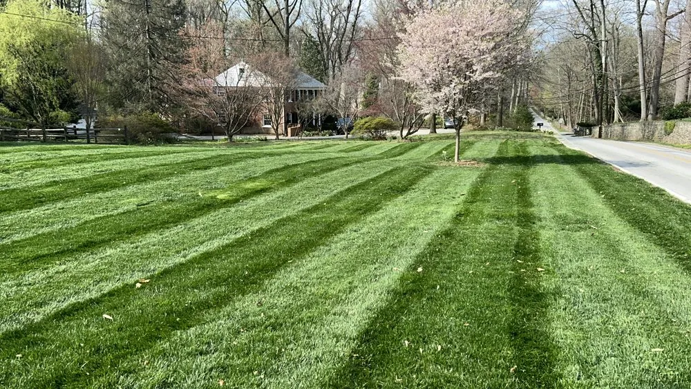 Top-rated landscape design in Lansdale, PA - AMT Landscaping