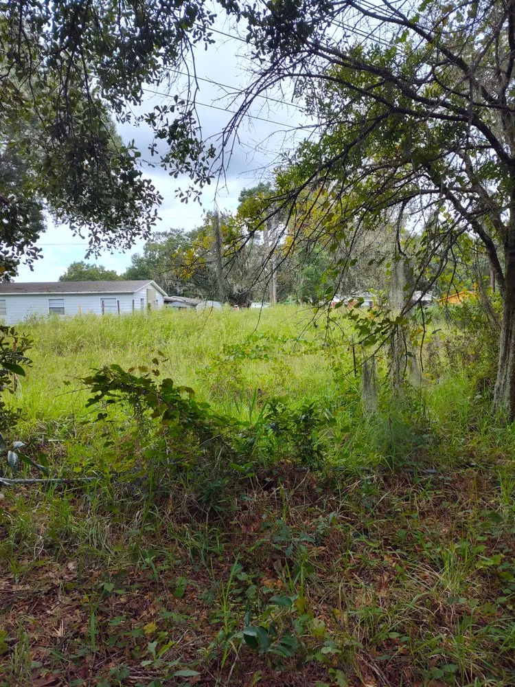 Custom yard maintenance in Winter Haven, FL by Amtrix Land Clearing And More