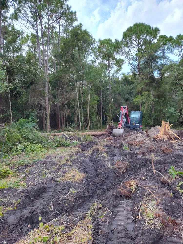 Top-rated residential landscaping in Winter Haven, FL by Amtrix Land Clearing And More