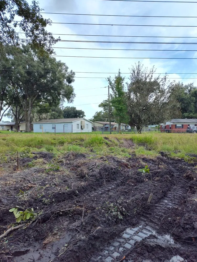 Local yard maintenance in Winter Haven, FL by Amtrix Land Clearing And More