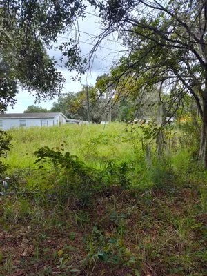 Amtrix Land Clearing And More Logo