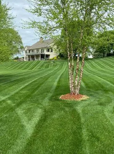 Trusted lawn mowing service in Elk River, MN - Amundsons Lawn Care & Snow Removal