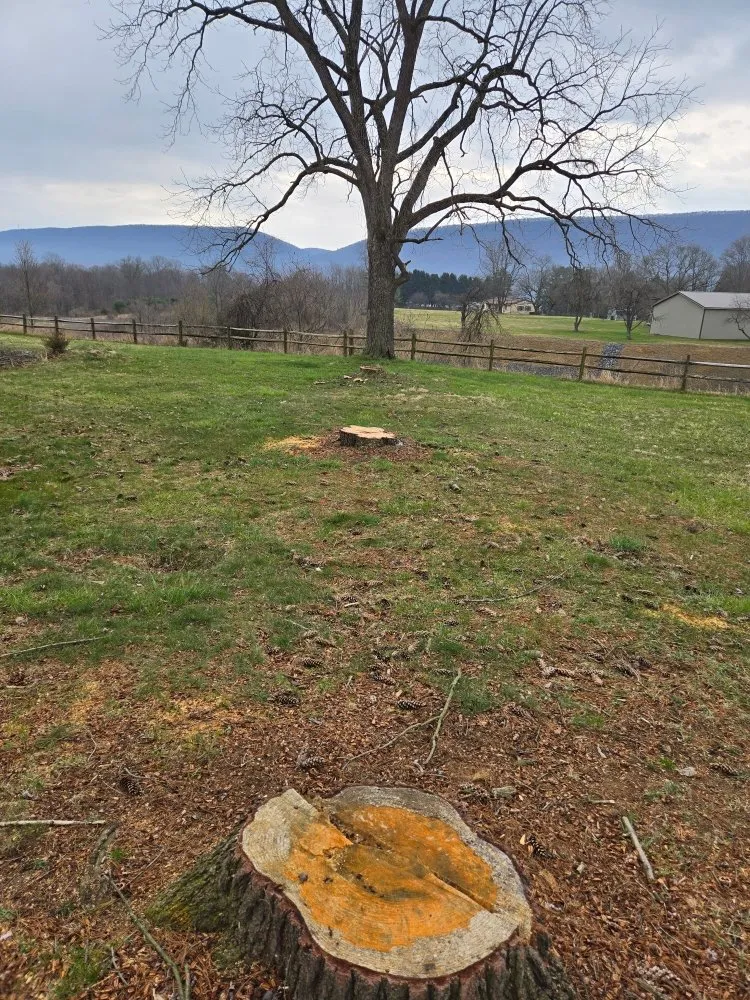 Local landscape installation in Jersey Shore, PA - AMX Lawn & Landscape