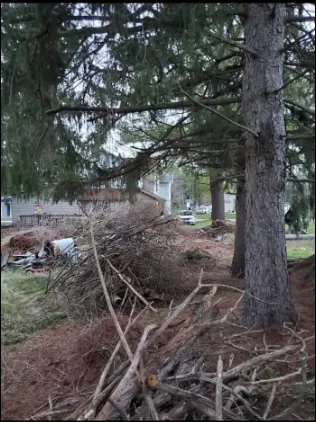 Expert landscaping services experts serving Jersey Shore, PA - AMX Lawn & Landscape