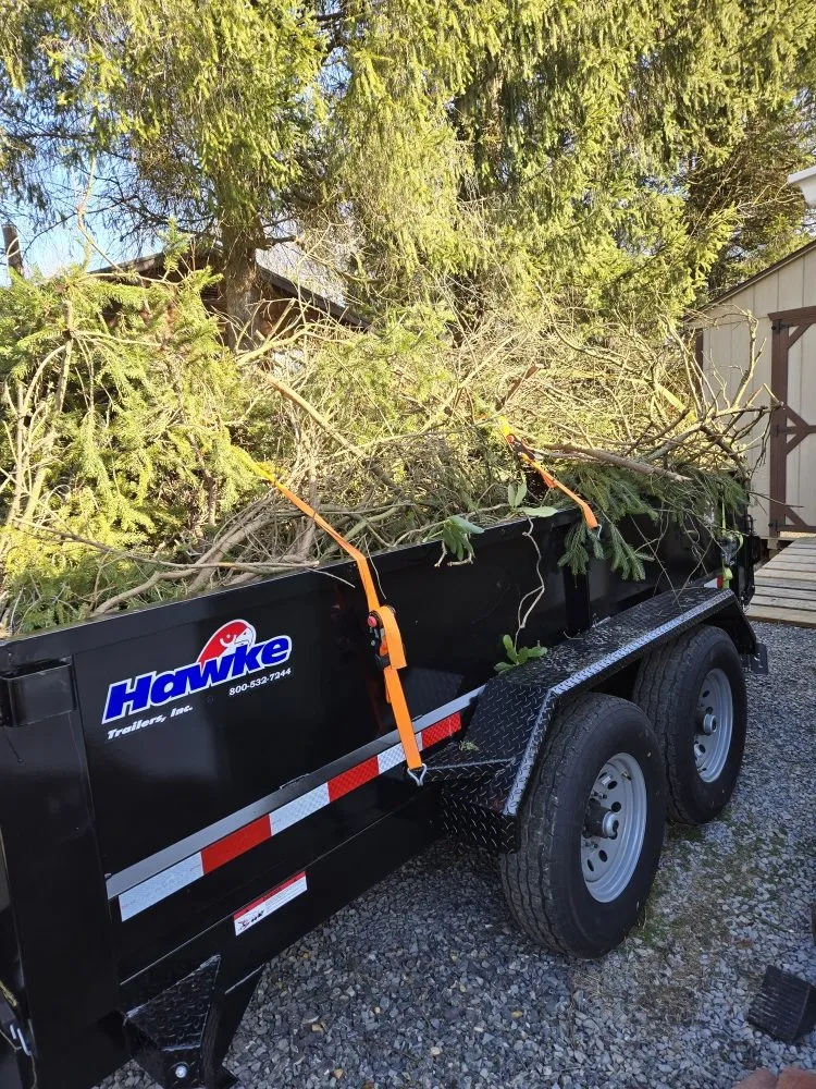 Affordable yard cleanup service for residential properties in Jersey Shore, PA by AMX Lawn & Landscape