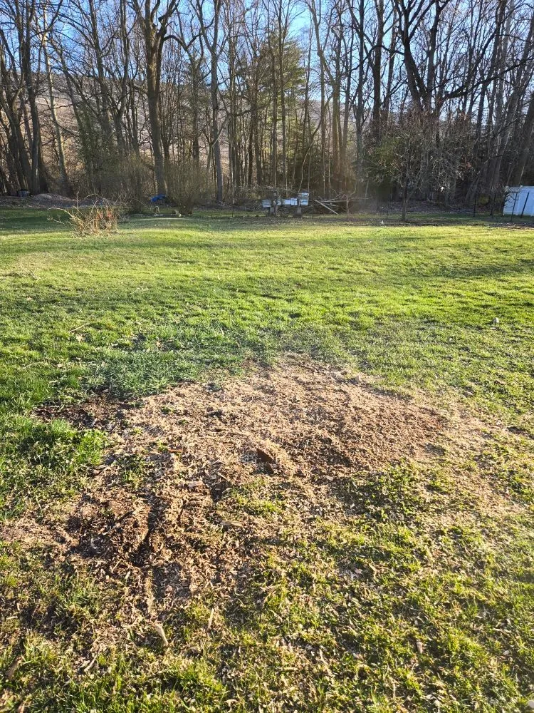 Professional residential landscaping experts serving Jersey Shore, PA - AMX Lawn & Landscape