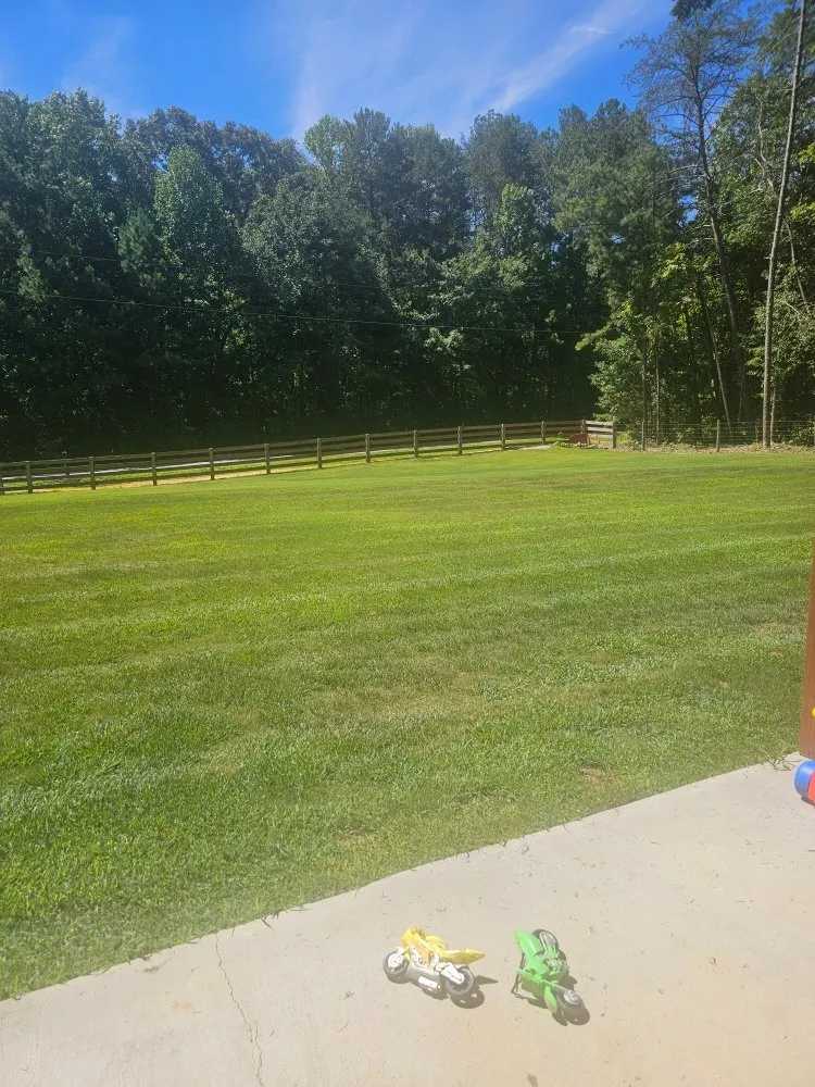 Affordable residential landscaping in Maysville, GA - Amy