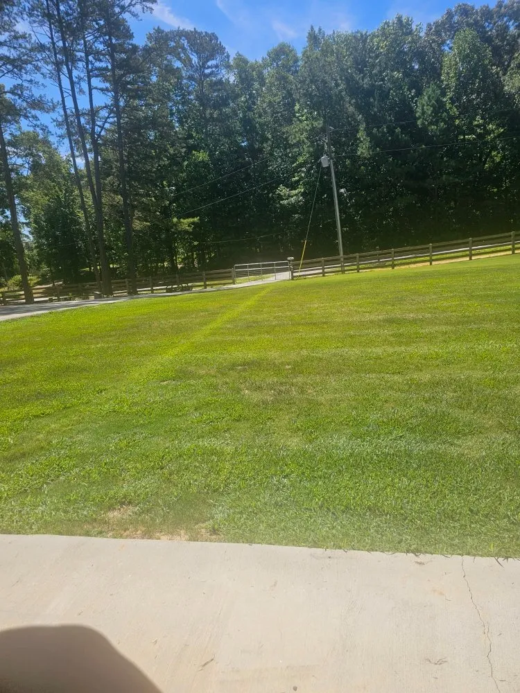 Top-rated garden landscaping in Maysville, GA - Amy