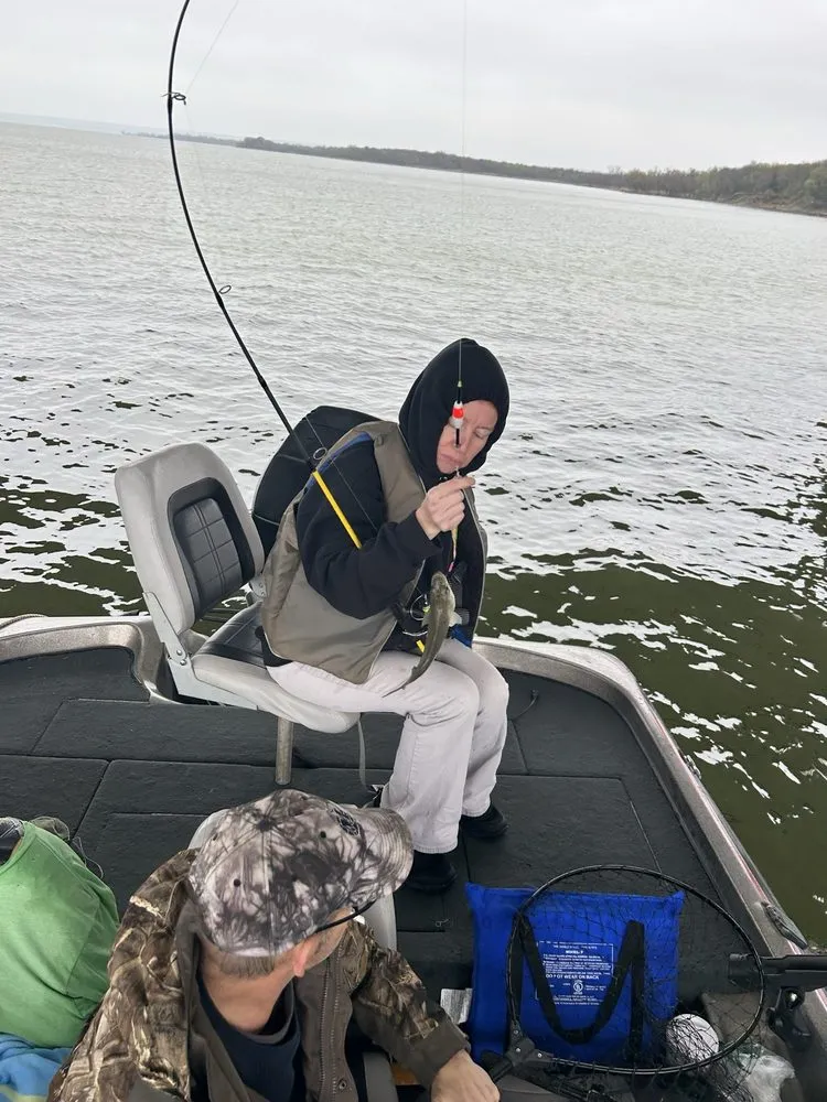 Professional lawn care service near you across Arlington, TX - Amylou Housecleaning With a Smile