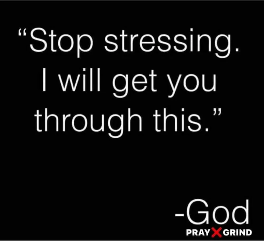 Local landscape installation experts serving Westland, MI - Amy's Cleaning Service