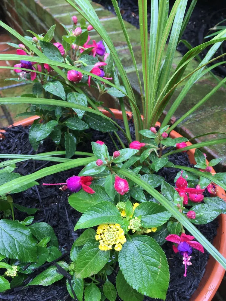 Expert outdoor landscaping for outdoor upgrades in Catonsville, MD by Amy's Garden Design