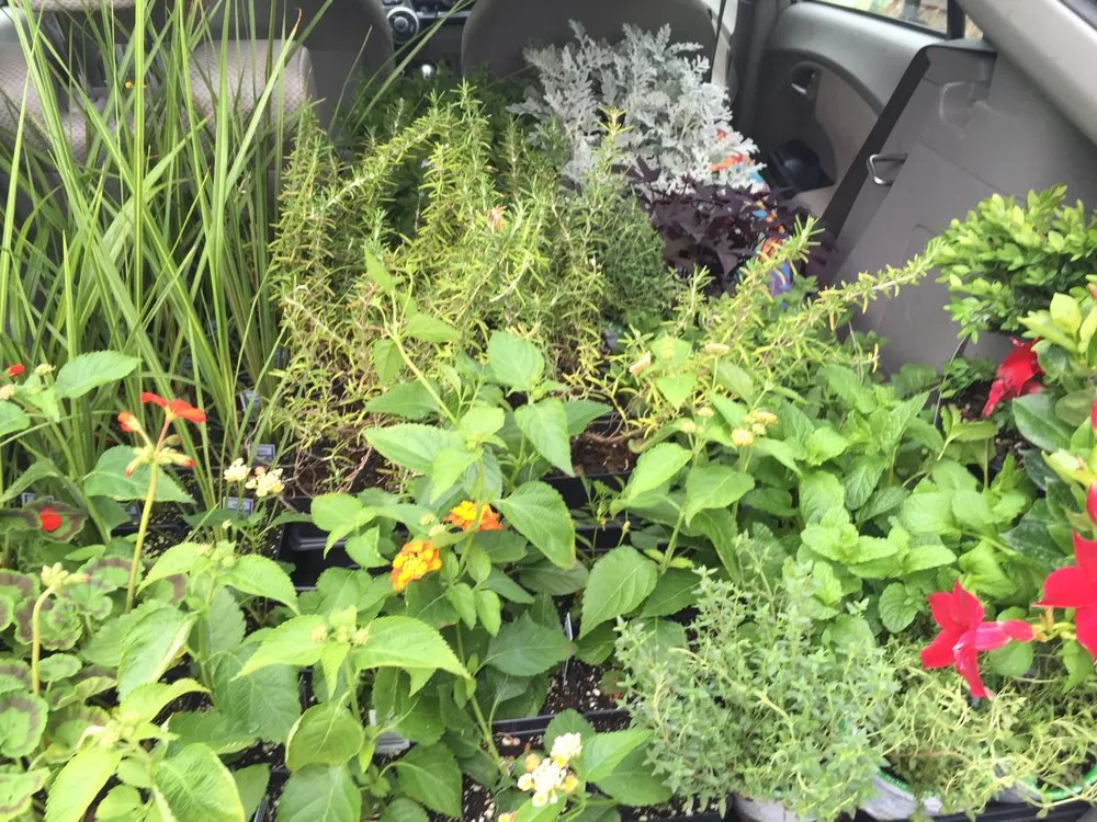 Professional residential landscaping near you in Catonsville, MD by Amy's Garden Design