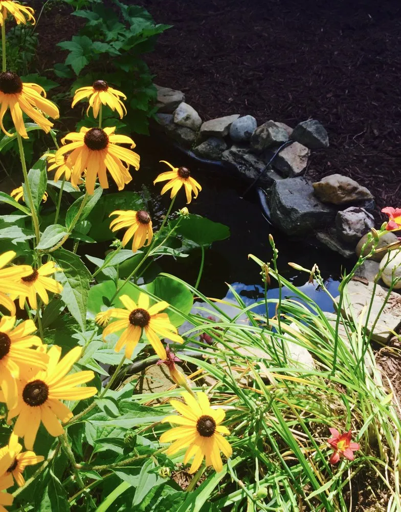 Custom landscape installation in Catonsville, MD by Amy's Garden Design