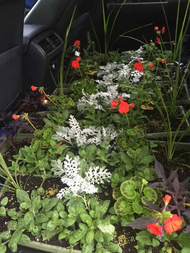 Expert landscape design for year-round maintenance in Catonsville, MD by Amy's Garden Design