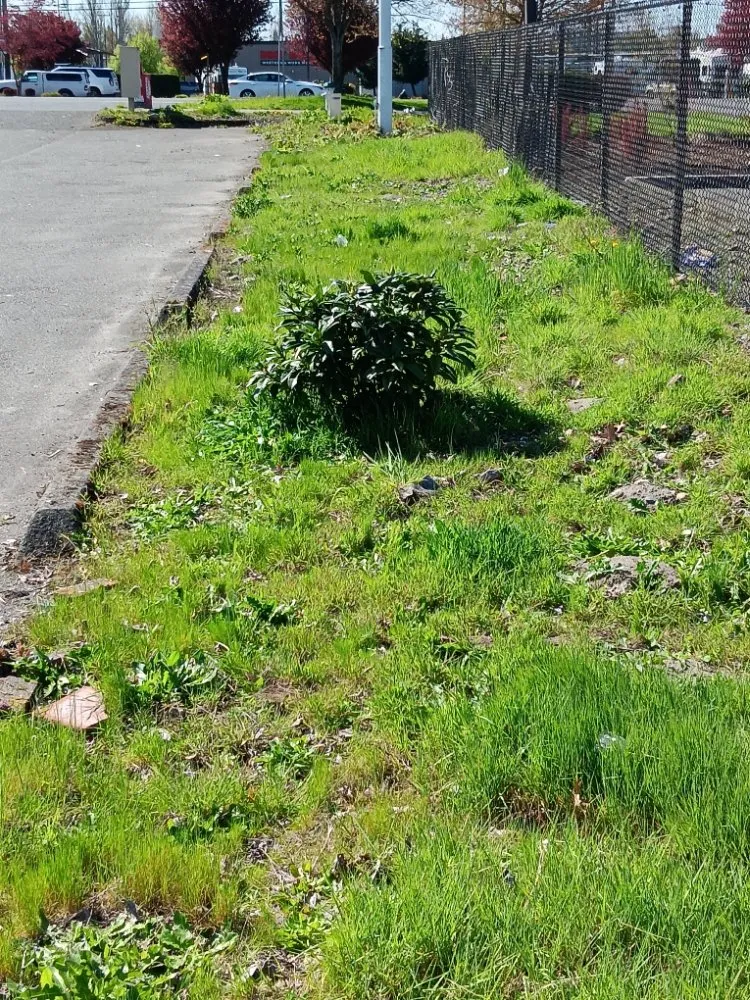 Custom landscaping services in Tukuila, WA by AMZ Junk Removal
