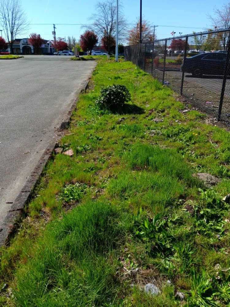 Top-rated lawn care service in Tukuila, WA by AMZ Junk Removal