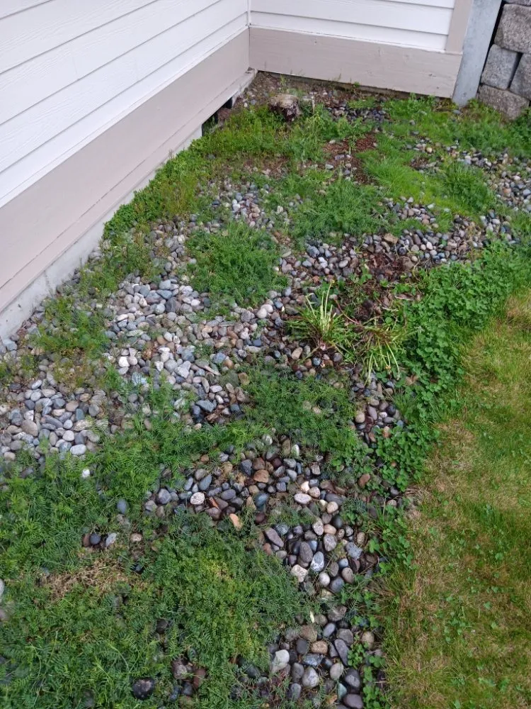 Custom landscape installation in Tukuila, WA by AMZ Junk Removal
