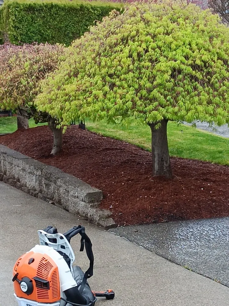 Top-rated garden landscaping for beautiful yards across Tukuila, WA - AMZ Junk Removal