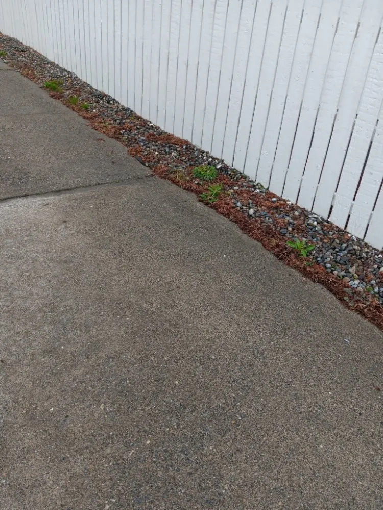 Reliable outdoor landscaping near you in Tukuila, WA by AMZ Junk Removal