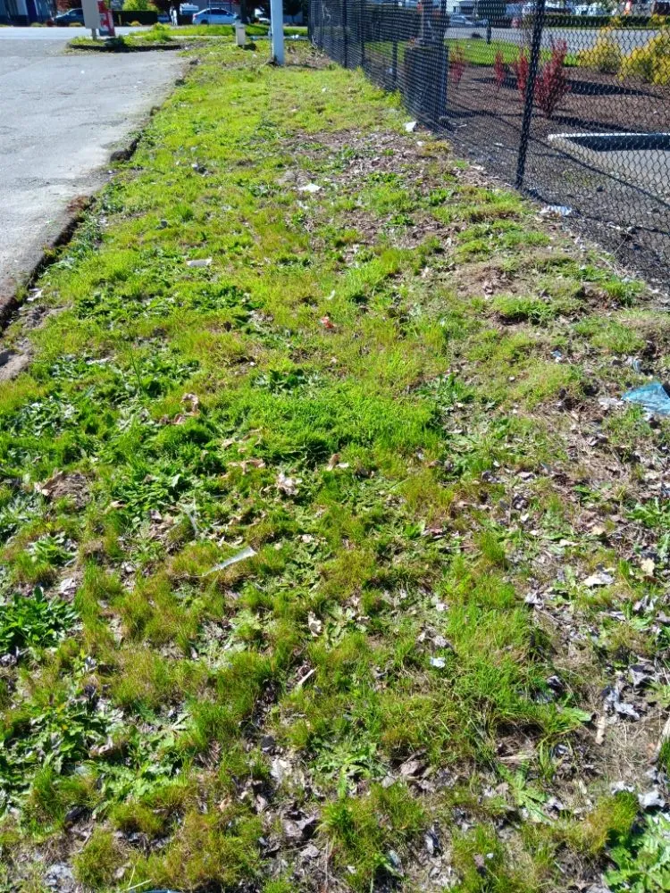 Trusted landscaping services in Tukuila, WA by AMZ Junk Removal