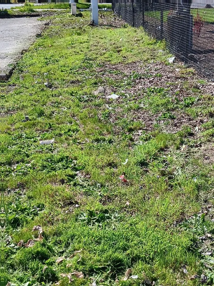 Custom lawn care service in Tukuila, WA by AMZ Junk Removal