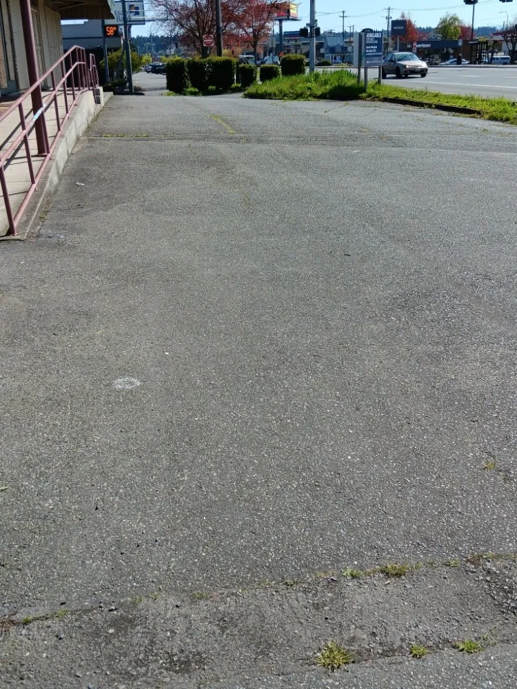 Top-rated yard maintenance in Tukuila, WA by AMZ Junk Removal