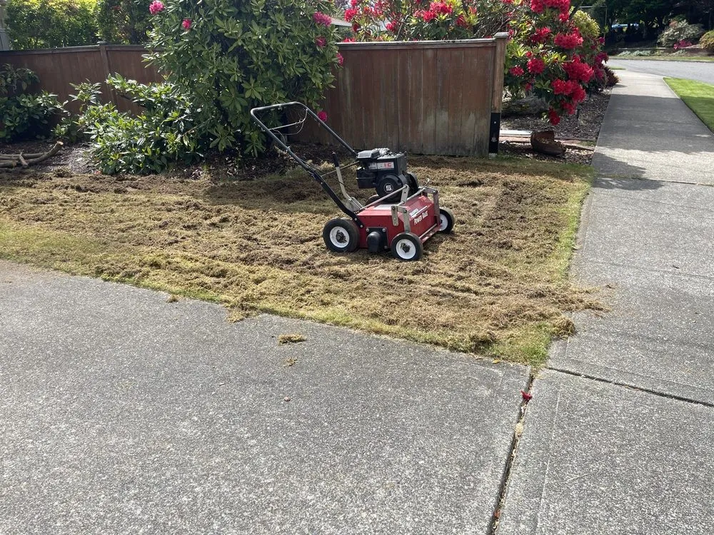 Professional garden landscaping experts serving Tacoma, WA - Amz Landscape