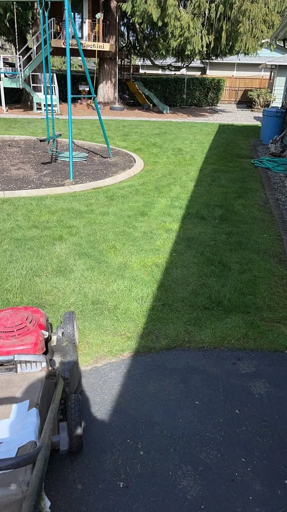 Reliable landscaping services in Tacoma, WA by Amz Landscape