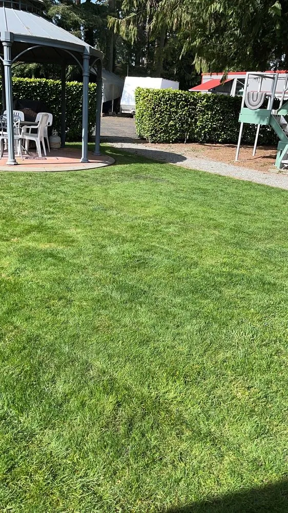 Trusted landscape installation experts serving Tacoma, WA - Amz Landscape