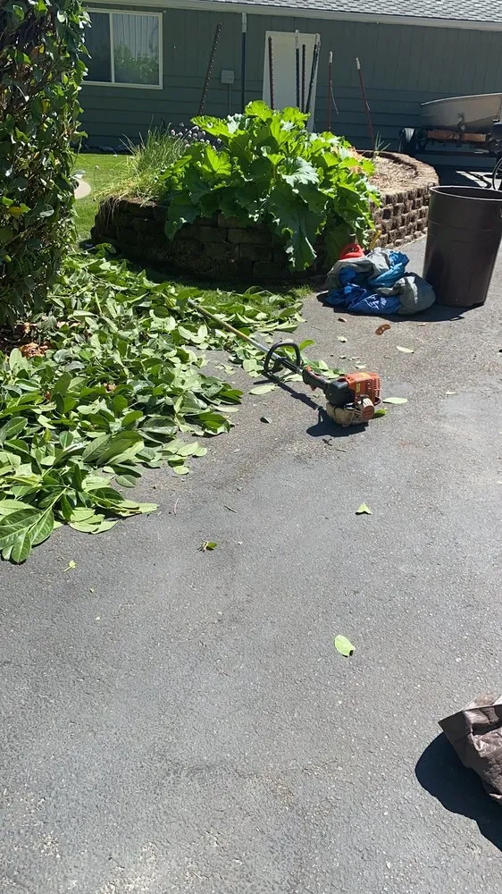 Expert yard cleanup service experts serving Tacoma, WA - Amz Landscape