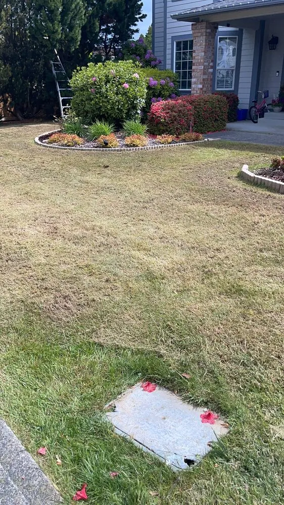 Expert landscape design experts serving Tacoma, WA - Amz Landscape