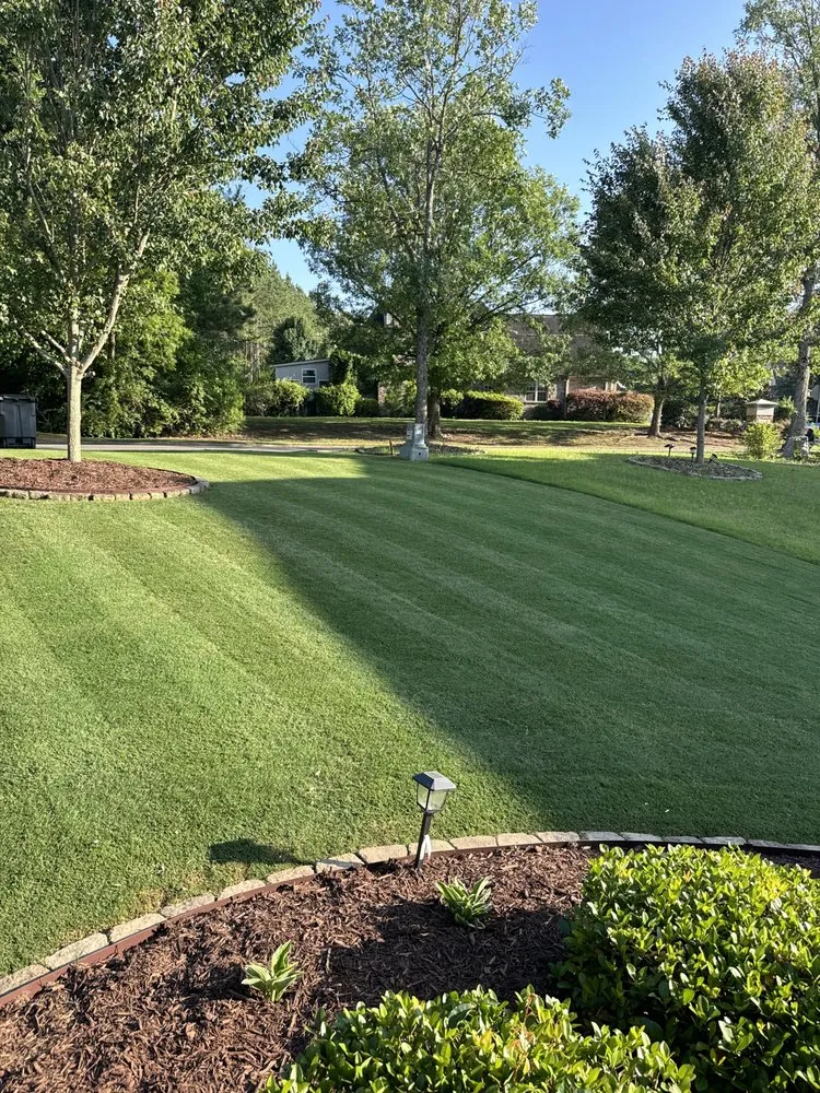 Reliable lawn care service in Hoover, AL - AMZ Landscaping