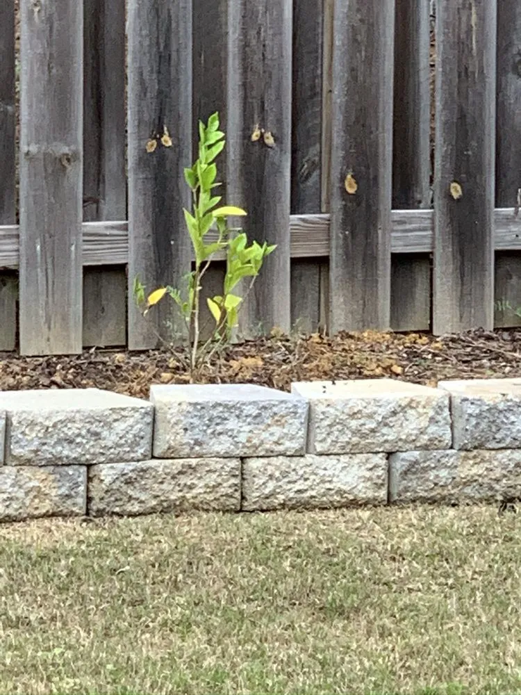 Custom landscape design in Hoover, AL - AMZ Landscaping