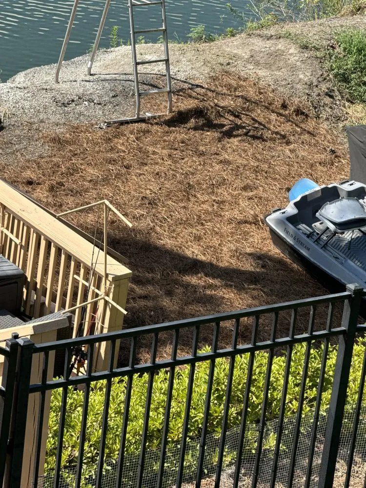 Top-rated yard maintenance for beautiful yards across Hoover, AL - AMZ Landscaping