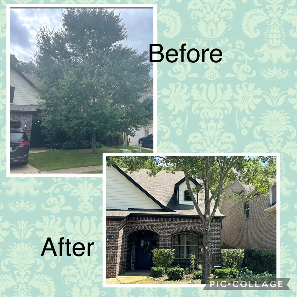 Reliable yard maintenance in Hoover, AL by AMZ Landscaping