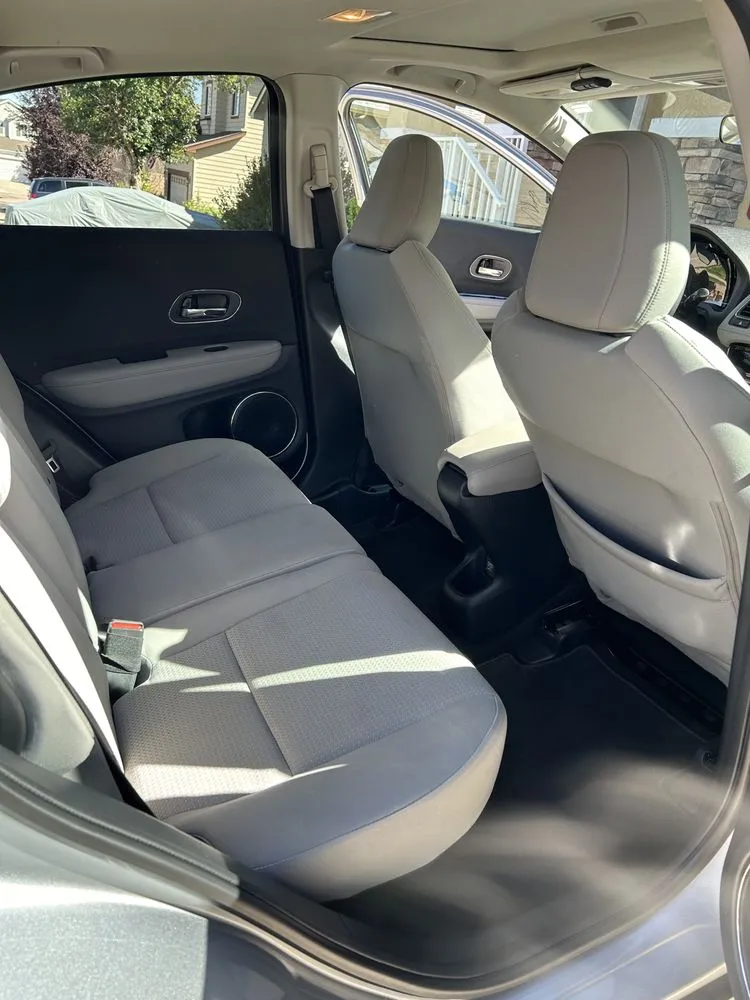 Custom yard cleanup service in Colorado Springs, CO by A&N Auto Detailing and Home Services