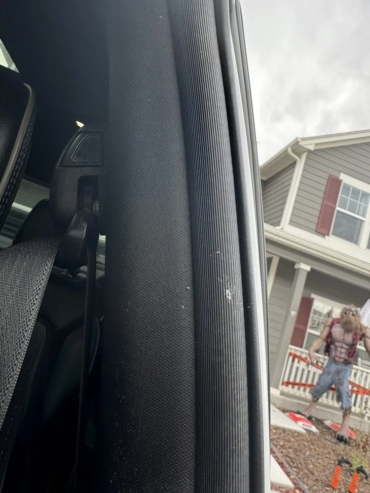 Top-rated yard cleanup service for beautiful yards across Colorado Springs, CO - A&N Auto Detailing and Home Services