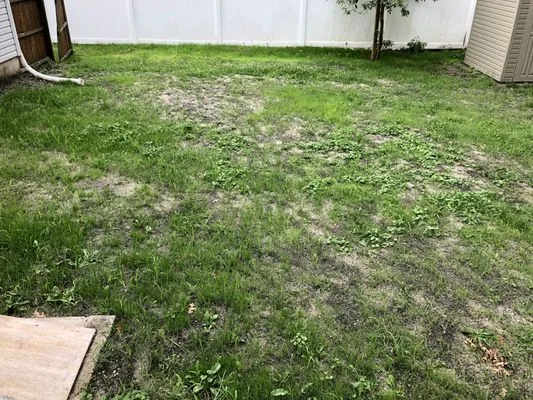 An Exclusive Landscape Service Logo