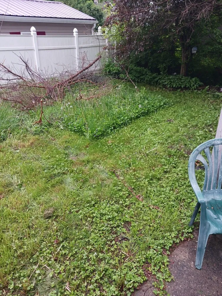 Professional lawn mowing service in Flint, MI - An Extra Hand Services