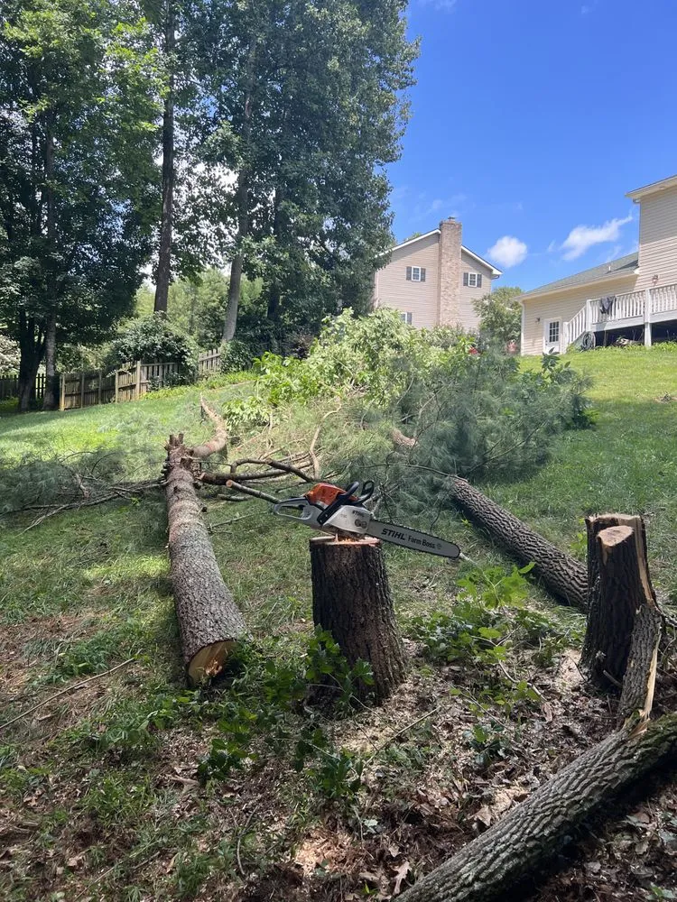 Affordable landscaping services for homes across Fletcher, NC - A&N Land Services