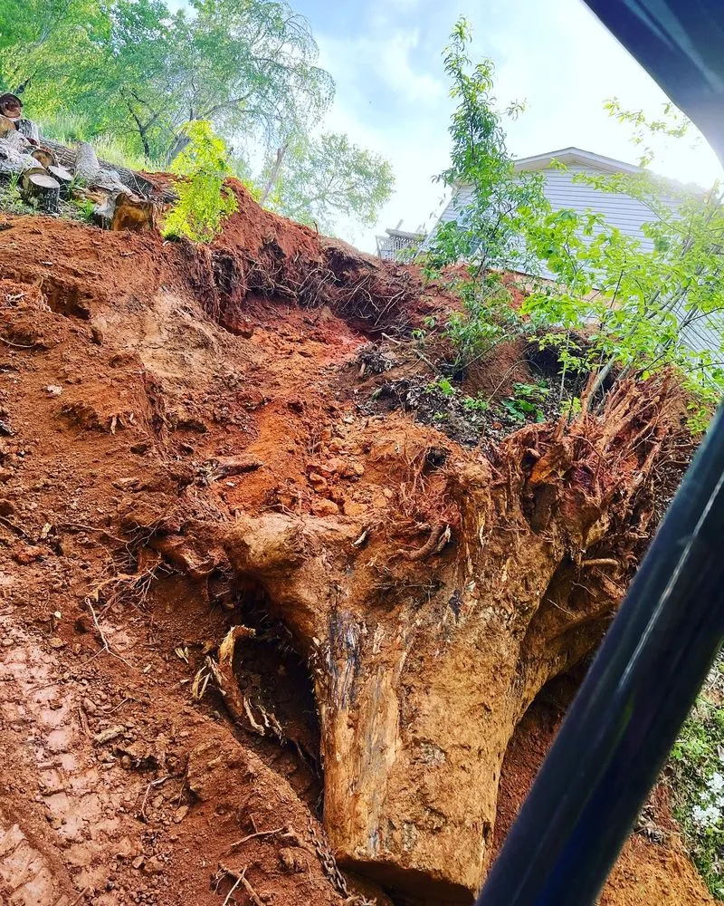 Expert yard cleanup service in Fletcher, NC - A&N Land Services