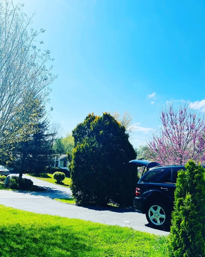 Local landscaping services experts serving Fletcher, NC - A&N Land Services