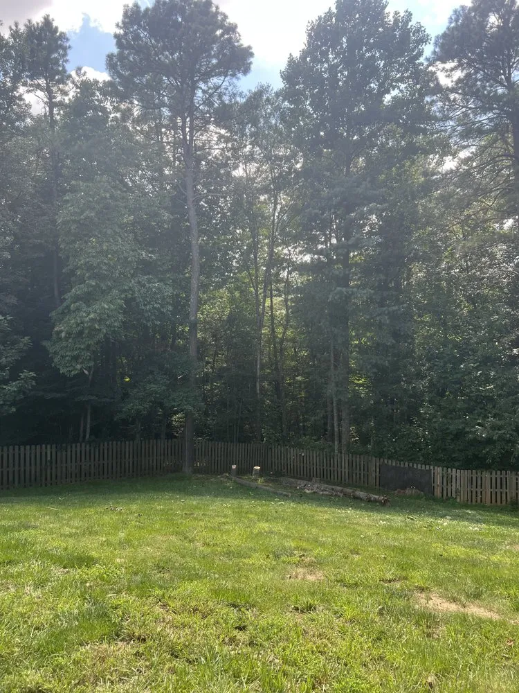 Professional landscape design in Fletcher, NC by A&N Land Services