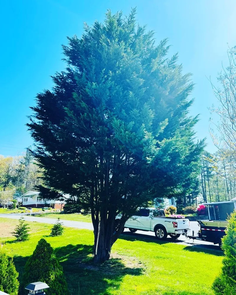 Reliable lawn care service experts serving Fletcher, NC - A&N Land Services