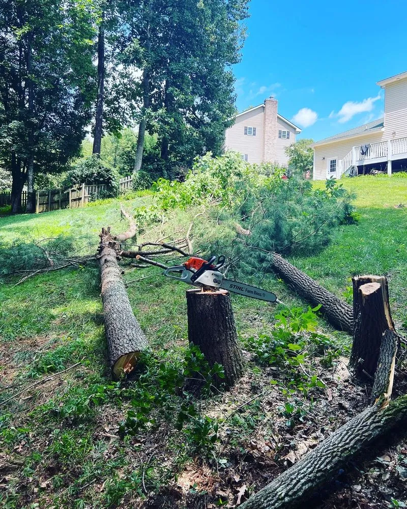 Trusted garden landscaping in Fletcher, NC by A&N Land Services