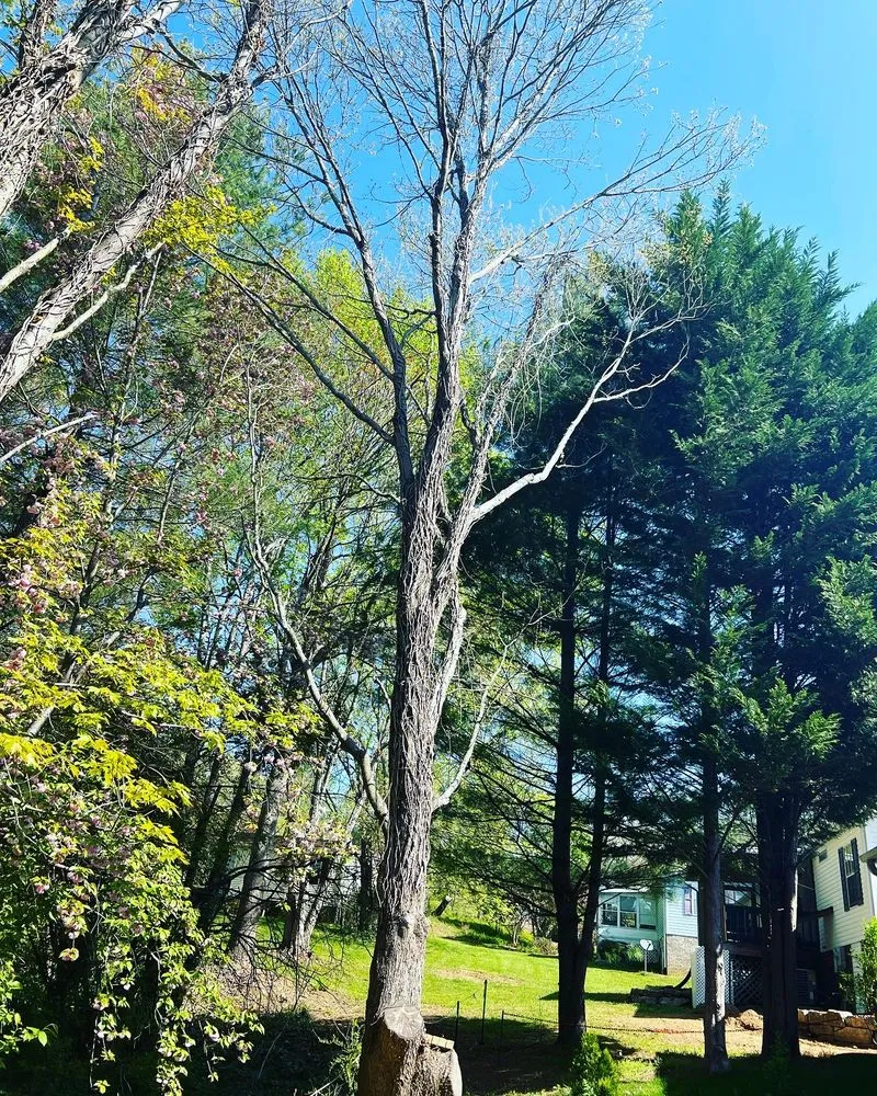 Custom landscaping services experts serving Fletcher, NC - A&N Land Services