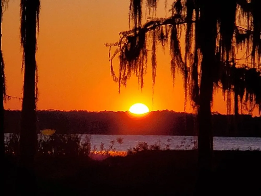 Custom landscaping services for residential properties across Middleburg, FL - A&N Lawn Service