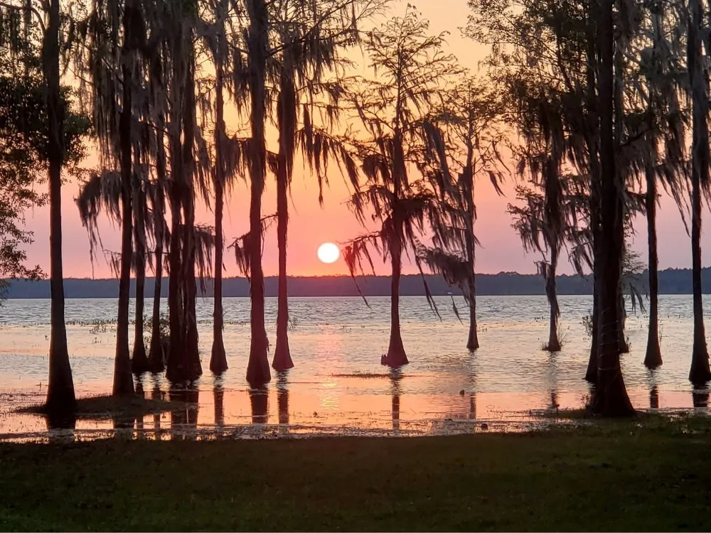 Local landscape installation experts serving Middleburg, FL - A&N Lawn Service